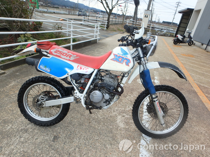 CONTACTO JAPAN || HONDA XR250 ME06 ( Japan Honda ) || Used Vehicle 